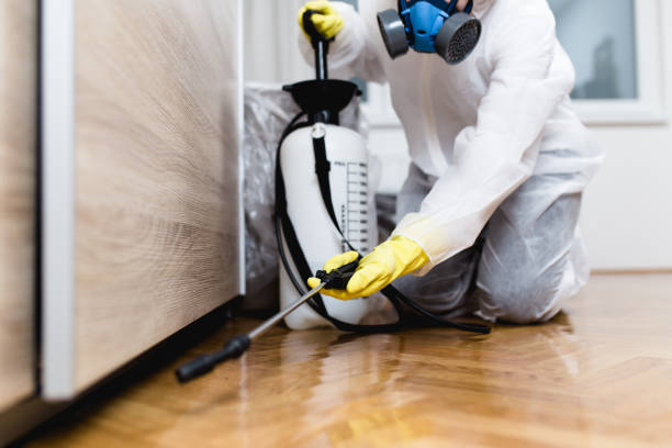 Best Flea Control Services  in Plano, IL