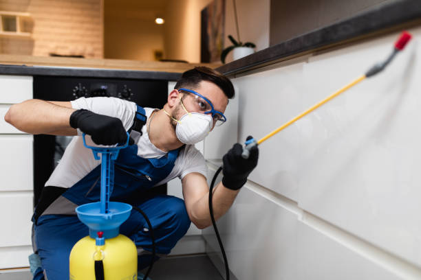 Best Affordable Pest Control Services  in Plano, IL