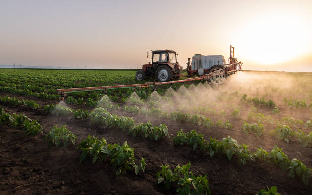 Best Pest Prevention Services  in Plano, IL