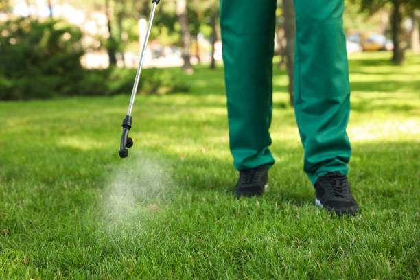 Best Bird Control  in Plano, IL