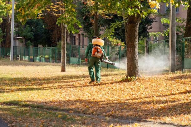 Best Exterminator Services  in Plano, IL
