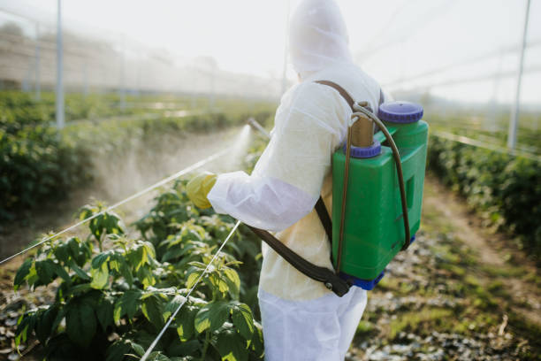 Best Pest Control Near Me  in Plano, IL